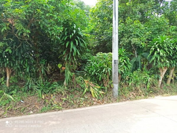 [2D701E] Jual Tanah 1278m2 - Cisauk, Tangerang