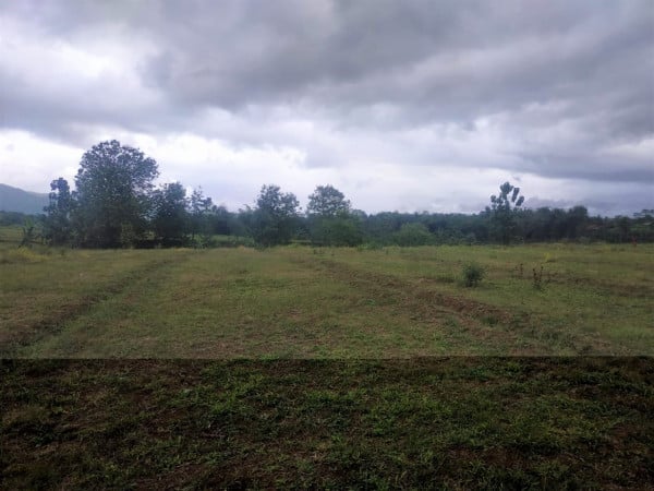 [24FA96] Jual Tanah 4,5 Hektar, Kedungbenda, Purbalingga